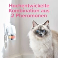 Beaphar CatComfort Excellence Starter-Kit 48ml -Geschäft Für Katzenbedarf dc9c523dc7185c6fb064dba2b9c7de82f17a2005 1416646 1 5
