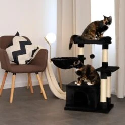 Lionto Kratzbaum Höhe 85 Cm Schwarz 10 Lionto Kratzbaum Höhe 85 Cm Schwarz -Geschäft Für Katzenbedarf dd0e7cf28bc0aec8de2100657cc9a578d42c02e9 1657004 de DE a873592f3b94042f2787c5ac5fe2ced7ffef53d38BzneZ