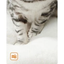 FEANDREA Katzenmöbel 138cm Modern 14 FEANDREA Katzenmöbel 138cm Modern -Geschäft Für Katzenbedarf dd5b79884e43283363cfe546c09a94b866348efb 1483576 de DE d0d31c8def7406dd1b0e19692dff9bc5fdc7392elR6n8N