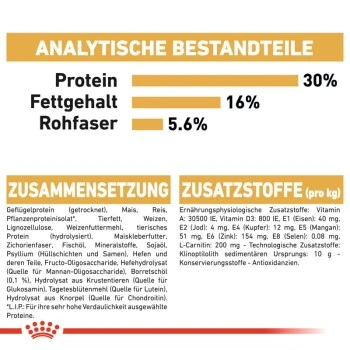 ROYAL CANIN Norwegian Forest Adult 10 Kg 4 ROYAL CANIN Norwegian Forest Adult 10 Kg – Bild 2