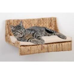 Silvio Design Kletteretage Wasserhyazinthe 5 Silvio Design Kletteretage Wasserhyazinthe -Geschäft Für Katzenbedarf de5814d2b1ffde2ce6e0f5e96a58ff3ba7243ab9 ee2ef12f79ea6aefab394ae11b3c74c30340fb6a