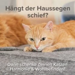 Beaphar CatComfort Excellence Nachfüll-Flakon Für Verdampfer -Geschäft Für Katzenbedarf dff4c857f272af0146855ba8692927c3d9b20938 1416647 1 4
