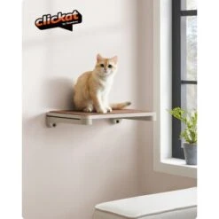 FEANDREA 3st. Clickat Katzenbrett Für Die Wand 11 FEANDREA 3st. Clickat Katzenbrett Für Die Wand -Geschäft Für Katzenbedarf e1ea74eac6a5a7e8c62454322b336c8e96097e1c 1681458 de DE 1105c7a4946666275cfb9f800c5111a9f1fb2d81WMyIOn