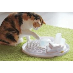 Bayer Design Edupet Katzenspielzeug Cat Center 5 Bayer Design Edupet Katzenspielzeug Cat Center -Geschäft Für Katzenbedarf e3f9c51a17e275863cb81dd57ac89d9bfd81d182 5600a12615465155ef73d484ef6e338505c1f957