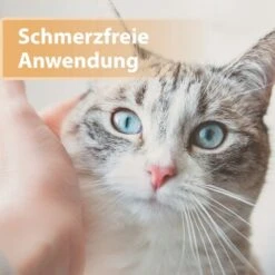 Felisept Wundgel 20ml -Geschäft Für Katzenbedarf e40e3e95a03fb00c1318f0e5b318422377d5a3ac 1396291 de DE e6f6116196c434f816ff510902765d32eaff788cDpbYBX