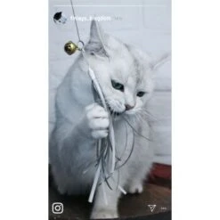 Kater Kasimir Premium Katzenangel Mit 4 Handgemachten Anhängern Aus Naturmaterial 11 Kater Kasimir Premium Katzenangel Mit 4 Handgemachten Anhängern Aus Naturmaterial -Geschäft Für Katzenbedarf e6fe48d27b82d48675d665ee2a143e3c11de2fd9 1408150 de DE b29a5f7f2530ce6388e16e2600369d70b2ec0350kYn6B8