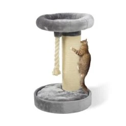 MORE Kratzbaum Bente 16 MORE Kratzbaum Bente -Geschäft Für Katzenbedarf e9b2f106fd5166a39ac6fc361f4a0c914a27a18c e3dce24ee9bad6c267aa9c1b35023714eb90889e