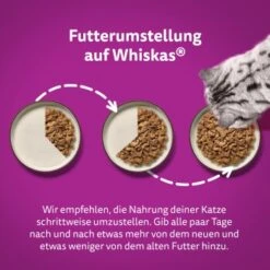 Whiskas Tasty Mix Multipack Chef's Choice In Sauce 60 X 85g -Geschäft Für Katzenbedarf edaf53bccc70f9cd8c2f945e65b6267bbaa6b96a 1410719 de DE Whiskas 5