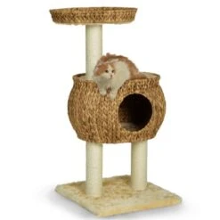 Silvio Design Kratzturm Cestino 9 Silvio Design Kratzturm Cestino -Geschäft Für Katzenbedarf ef0a90672f1eb00d70c3cd19197169962e160ff2 a23d448577d51dcf93e2a088a7495518cff75b25