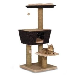 Europet Bernina Europet Kratzbaum Grenada -Geschäft Für Katzenbedarf f2239ef0a692ece0e63cc08fb1568c7a5e7e0a69 7e47e16df956301361020556a353133ab65d787d