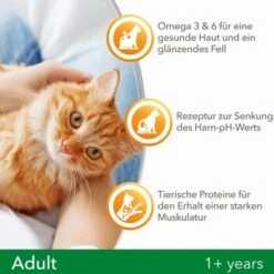 IAMS Vitality Adult Huhn 3 Kg -Geschäft Für Katzenbedarf f239d7ef57a6054553948e62d3d5feb16002578a 8361bd6d370c2f798bd71fa3242ca269884546de