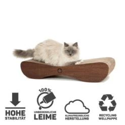 Canadian Cat Company Kratzbrett Satellite 2.0 Braun -Geschäft Für Katzenbedarf f29c71d144a5061db3f3d11427af36135e7e2c1b 1310301 de DE d69e8f9b24308ed3a2403440144129c6b0b76f857MsOMG