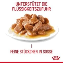 ROYAL CANIN Light Weight Care 12x85g In Soße -Geschäft Für Katzenbedarf f38babf5773c5e1eb5a28f6236631789e7adc695 1099138 5