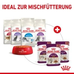ROYAL CANIN SENSORY Smell Taste Feel Multipack In Soße 12x85g -Geschäft Für Katzenbedarf f4198e2150af25cc2325c487711d8f6af95b5c02 034916556d5d9bebfcad1f6e8625ab2ccebd3758