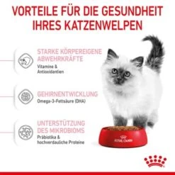 ROYAL CANIN Kitten 4 Kg 20 ROYAL CANIN Kitten 4 Kg -Geschäft Für Katzenbedarf f4a05d762cdc5e6b170f6edd236e6bd5b7278cb0 3182550702973 5