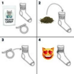 Kater Kasimir Premium Katzenminze, 60g Vorratspack (getrocknet, Geschnitten Und Gesiebt) -Geschäft Für Katzenbedarf f679550fad32a9708cf03f4945dc49a44a23048e 1408153 de DE 9863cecf4fe88297281c4955f3d36db2225e4d4cqqfXpp