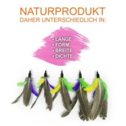 Schlitzohr Katzenangel Federanhänger 5x -Geschäft Für Katzenbedarf f6a96b93601c3b2f6f7420ade3ecfe56542cca74 1484675 de DE b1d2fd29ad67016b9a6af908251d348edfa467f2BG8aWR