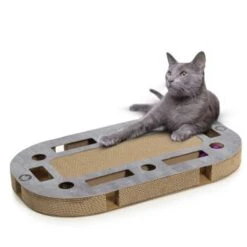 Canadian Cat Company Katzenspielplatz PlayPlate L Hellgrau 13 Canadian Cat Company Katzenspielplatz PlayPlate L Hellgrau -Geschäft Für Katzenbedarf f6bad7573ae968156cac29ca6523a8a75c2b29a3 1412692 de DE 137afe9eff4161ac8ad3bccc3934a9f8c8eb7eecxOE3Oy