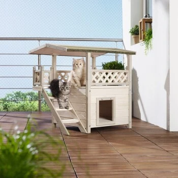 AniOne Katzenhaus Lodge 4 AniOne Katzenhaus Lodge – Bild 2