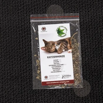 Canadian Cat Company Kratzbrett Comet XL Schwarz 5 Canadian Cat Company Kratzbrett Comet XL Schwarz – Bild 3