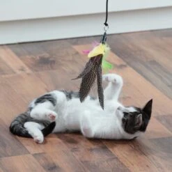 Schlitzohr Katzenangel Federanhänger 5x -Geschäft Für Katzenbedarf fb09936ea9d25b4ceb7b2f0b88286c91e6ede665 1484675 de DE 706999394aba568bf156a2aea623d154b845a9f55pZfqW