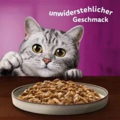 Whiskas Pure Delight Mega Pack Geflügel Ragout In Gelee 40 X 85g -Geschäft Für Katzenbedarf fb884326dc9636e4843c68e11f5586233a08be8f 1410723 de DE Whiskas 8