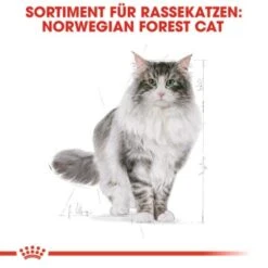 ROYAL CANIN Norwegian Forest Adult 10 Kg 13 ROYAL CANIN Norwegian Forest Adult 10 Kg -Geschäft Für Katzenbedarf fbb7469796543bd639ecf9b5bdacfec6845c76e4 cac6e10546e06170d84336bb88e578437b718711