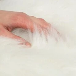 Canadian Cat Company Filzlounge AVA Beige M 17 Canadian Cat Company Filzlounge AVA Beige M -Geschäft Für Katzenbedarf fd8b746ad0dc996bb62efc39f6c670f6be8df30e 1360999 de DE c86a4e6d9ceba2c1e55f3f753eeda095c89215723XoDPL